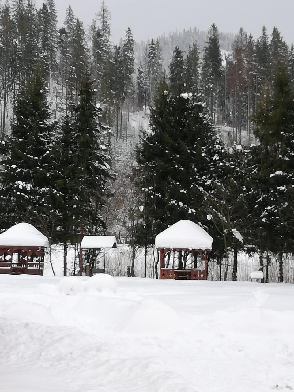 Кукулька Міні-Готель Slavske Exteriör bild